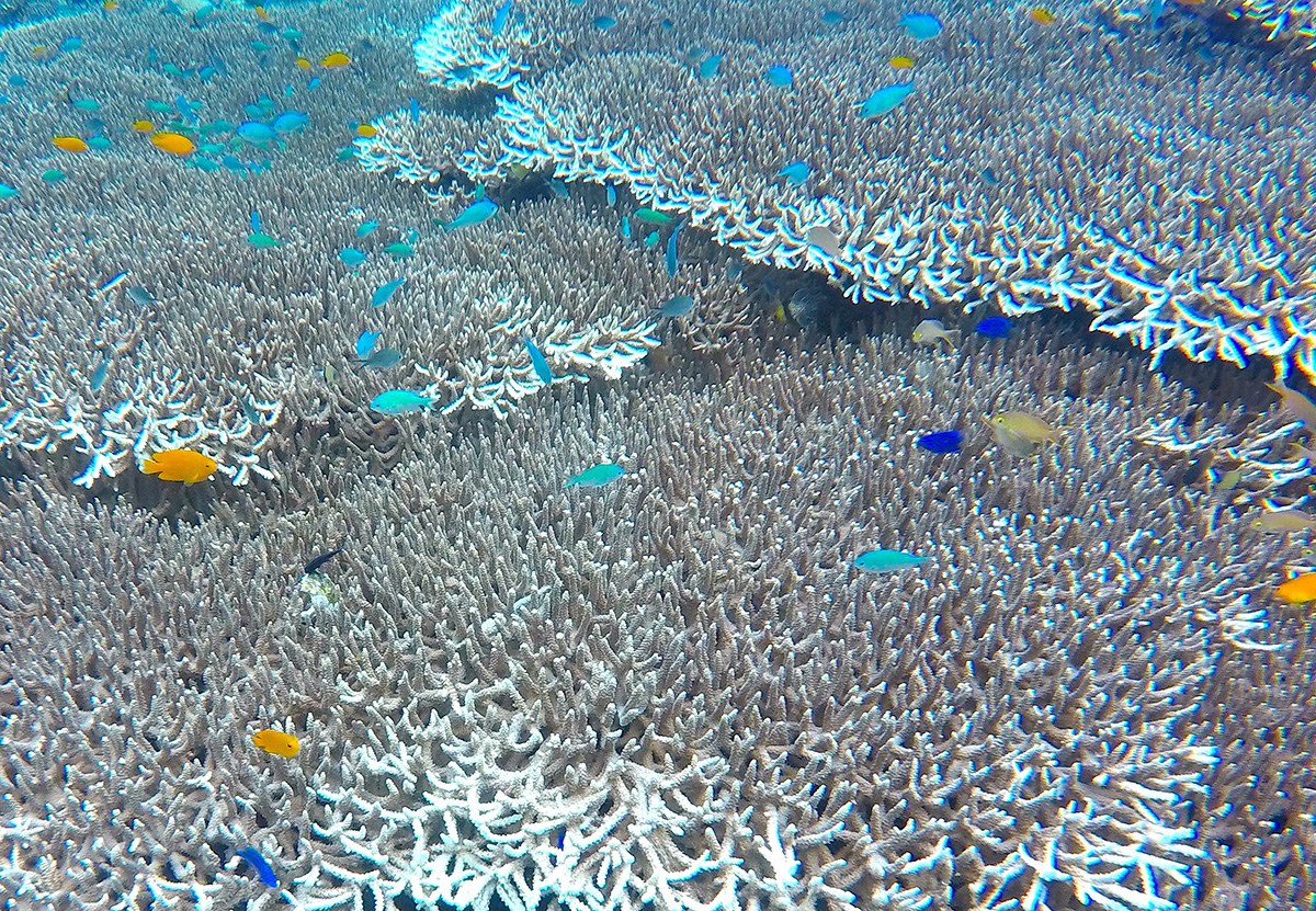 DCIM100GOPROGOPR1419.JPG