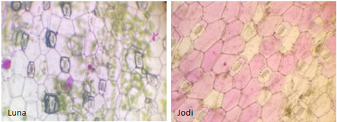 Biology_1