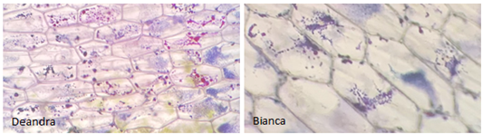 Biology_2
