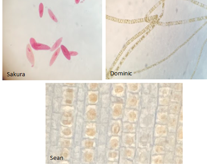 Biology_3