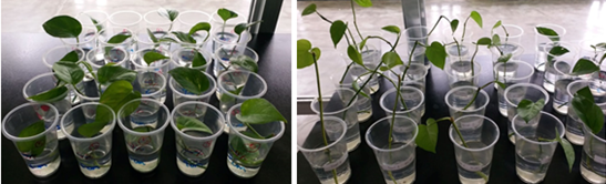 Biology_7