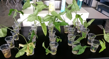 Biology_8