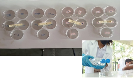 G9 Science - Nika