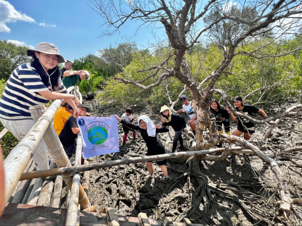 Mangrove_1