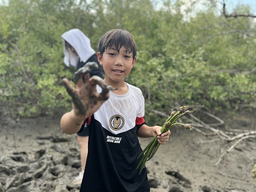 Mangrove_5
