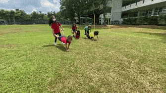 PHE_10