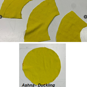 Design T - Ashna duckling