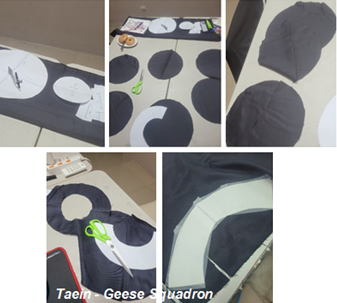 Design T - Taein Geese Squadron
