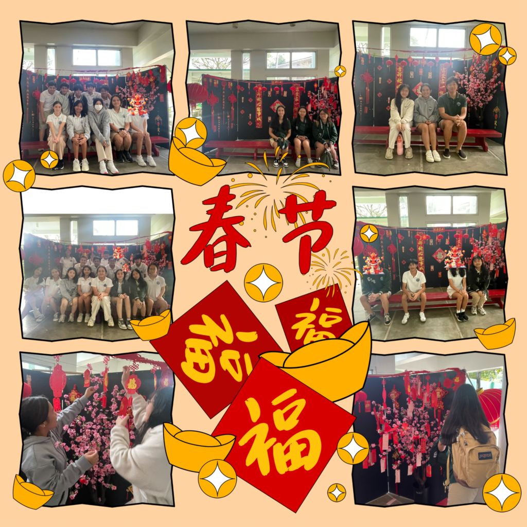 Mandarin_20