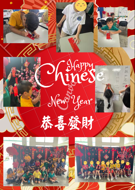 Mandarin_5