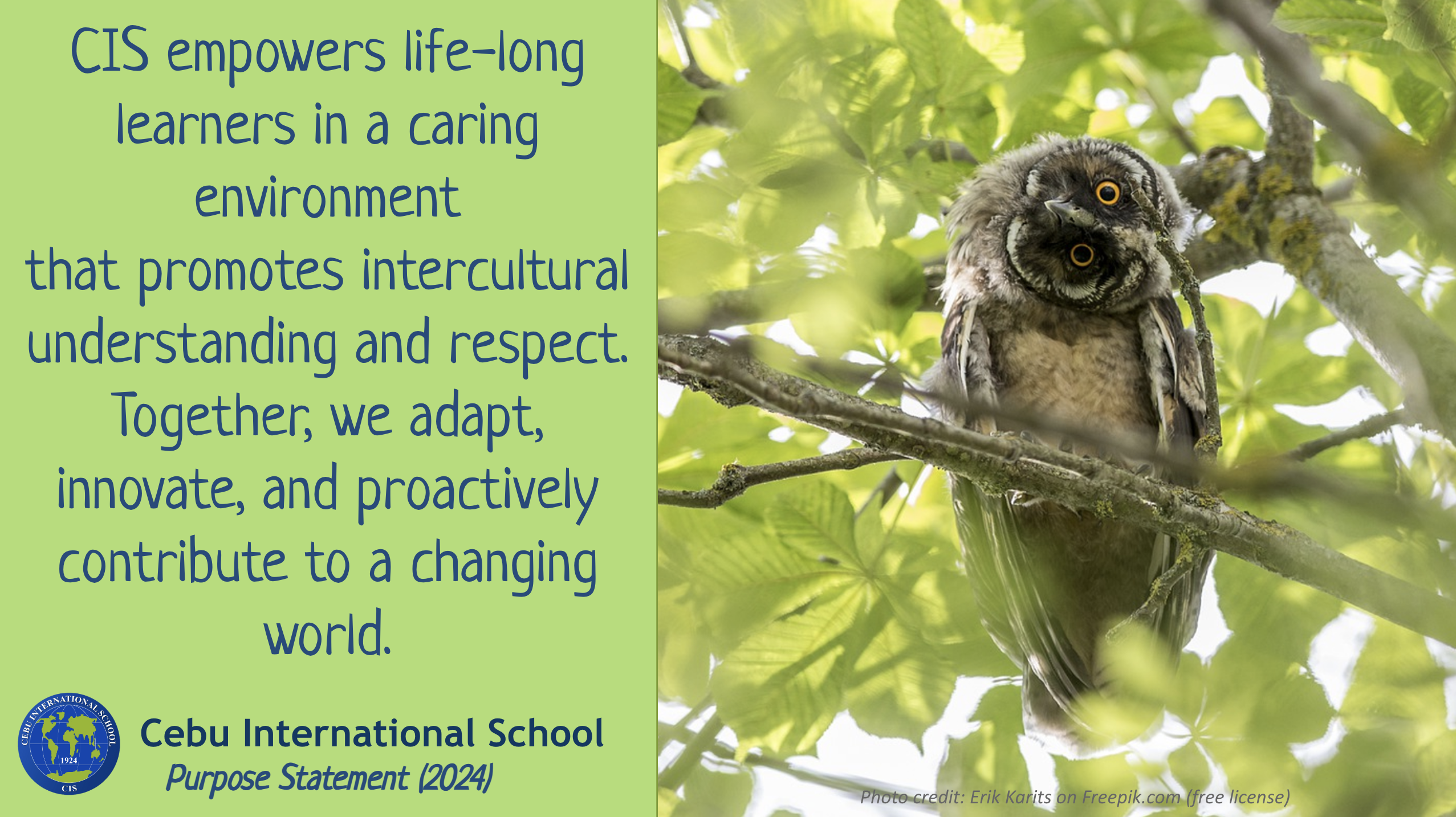 CIS Purpose Statement (2024)